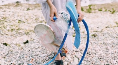 pexels daria shevtsova 1201588