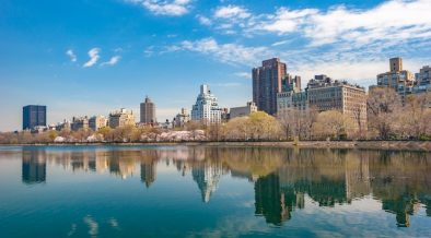 Pexels Jerome Dominici 286076