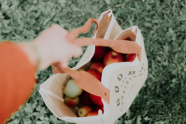 priscilla du preez L3lznpRPZbI unsplash